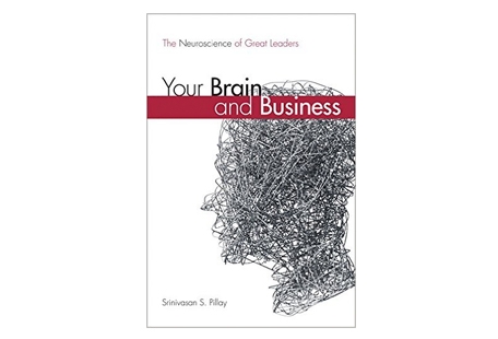 Your Brain and Business
